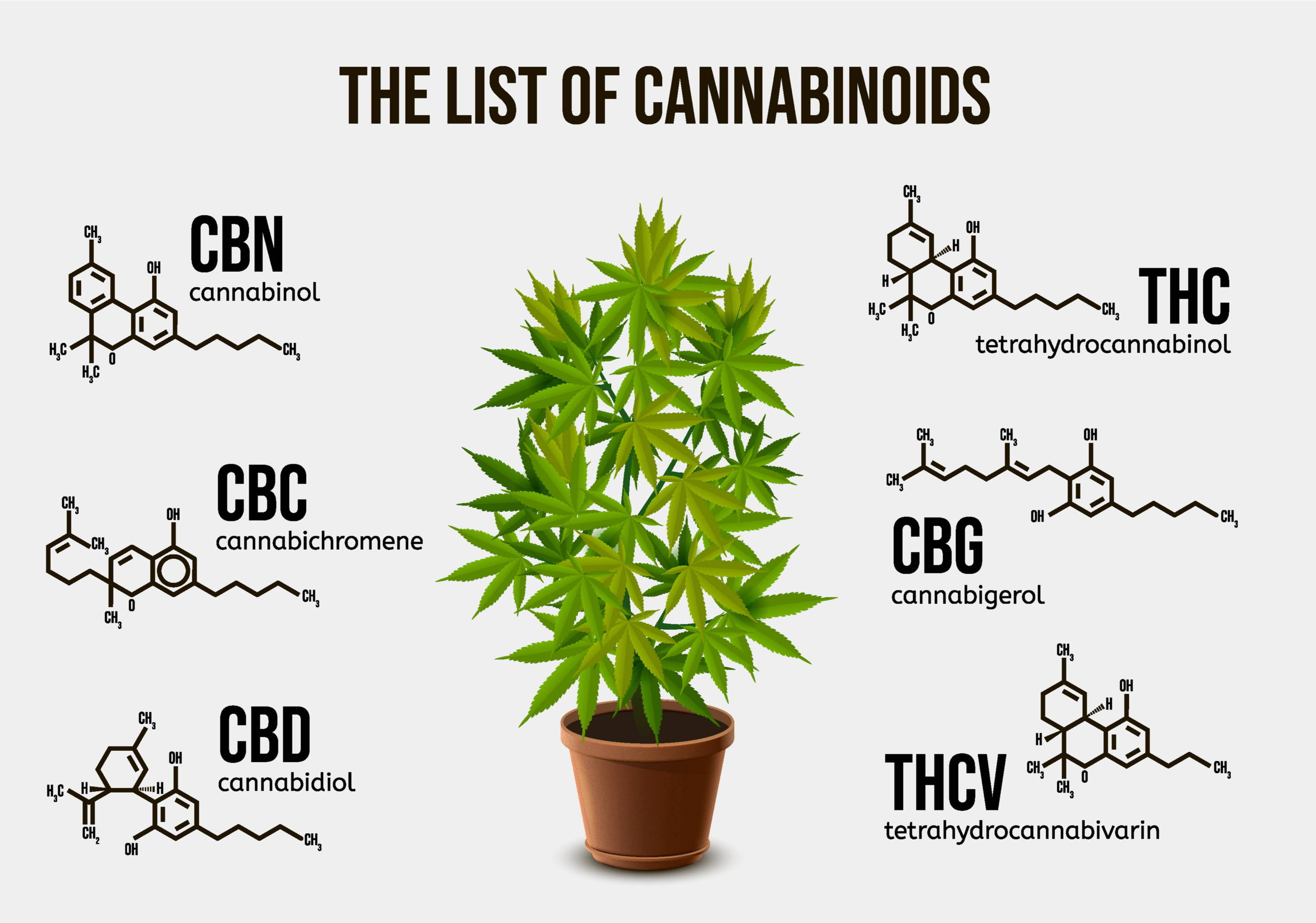 Le cannabinoïde cannabigérol (CBG) – La Chanvré CBD-Paris